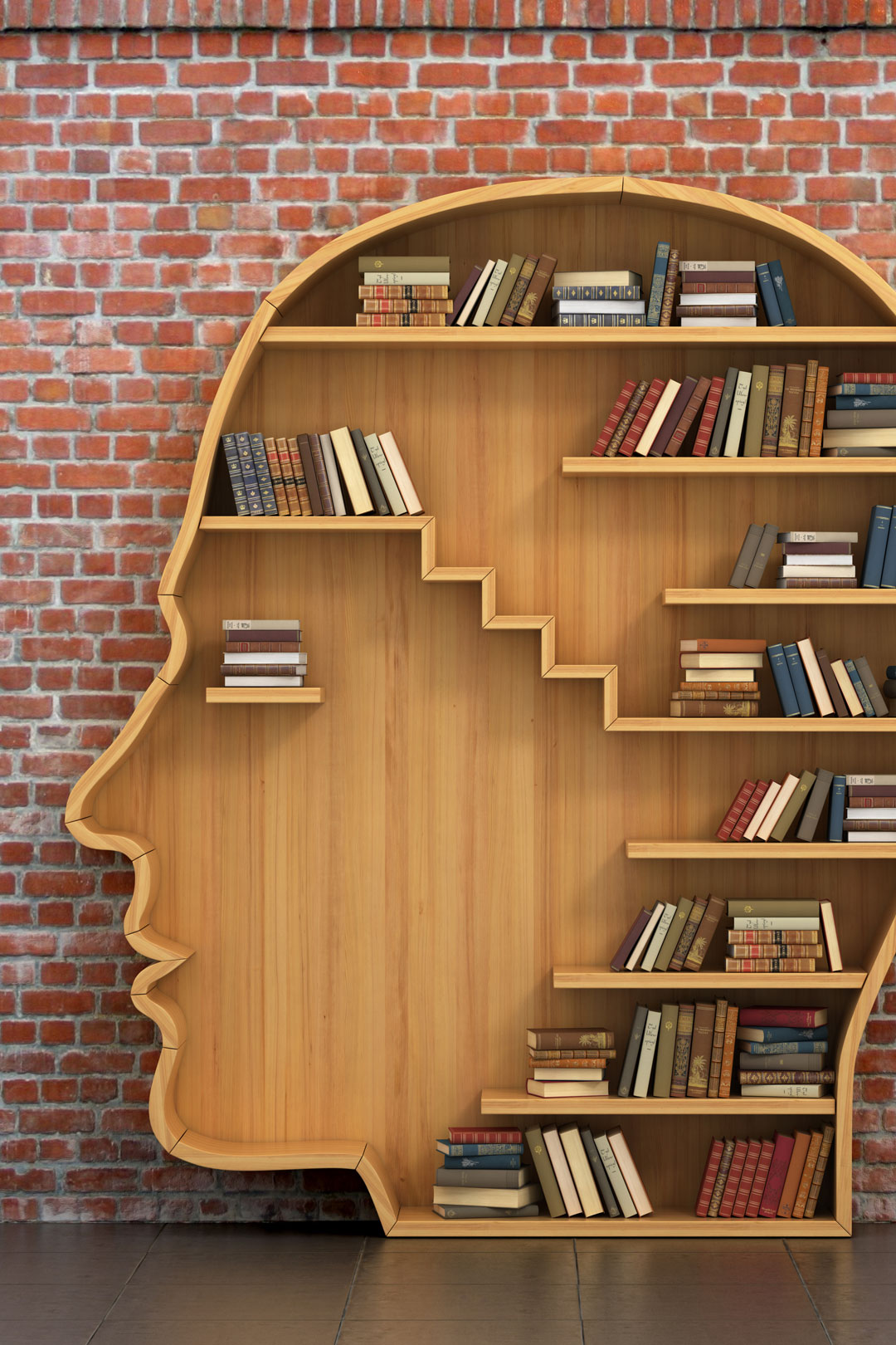 Das Foto zeigt ein Bücherregal, dass die Form eines Kopfes nachempfindet.